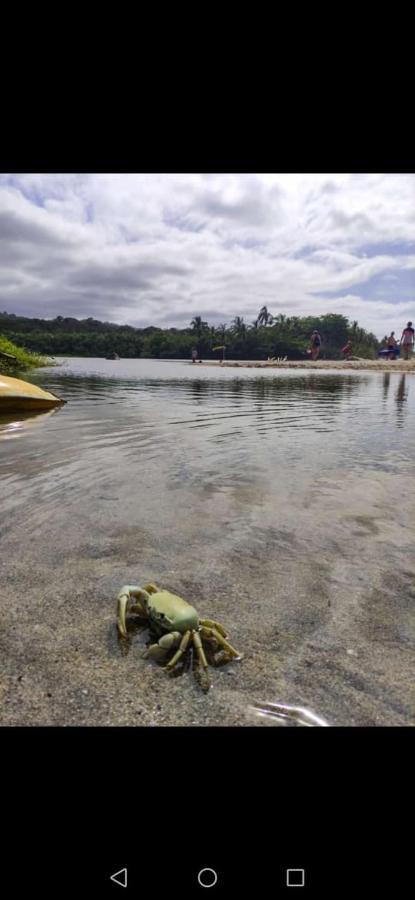 Hostal Estrellas Del Tayrona Playa Mendihuaca Guachaca Exteriér fotografie