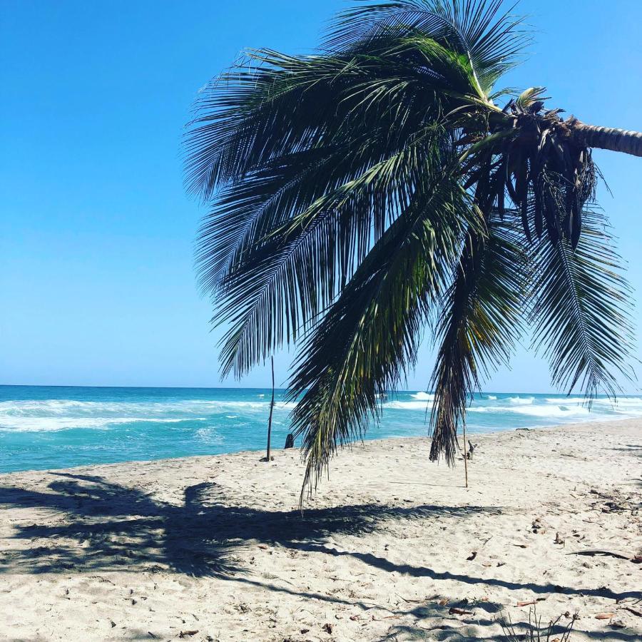 Hostal Estrellas Del Tayrona Playa Mendihuaca Guachaca Exteriér fotografie